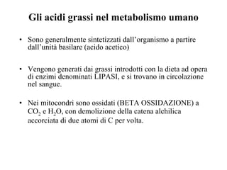 Gli acidi grassi nel metabolismo umano Sono generalmente sintetizzati dall’organismo a partire dall’unità basilare (acido acetico) Vengono generati dai grassi introdotti con la dieta ad opera di enzimi denominati LIPASI, e si trovano in circolazione nel sangue. Nei mitocondri sono ossidati (BETA OSSIDAZIONE) a CO 2  e H 2 O, con demolizione della catena alchilica accorciata di due atomi di C per volta. 