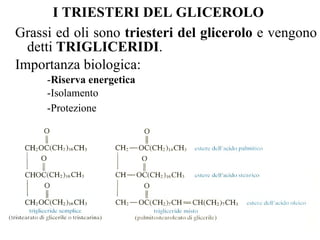 I TRIESTERI DEL GLICEROLO   Grassi ed oli sono  triesteri del glicerolo  e vengono detti  TRIGLICERIDI . Importanza biologica:  - Riserva energetica -Isolamento -Protezione   