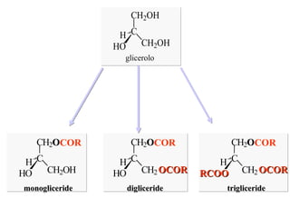 glicerolo C C H 2 O COR C H 2 O H H O H monogliceride C C H 2 O COR C H 2 OCOR H O H digliceride C C H 2 O COR C H 2 OCOR RCOO H trigliceride 