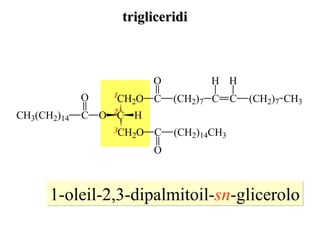 1-oleil-2,3-dipalmitoil- sn -glicerolo 1 2 3 trigliceridi 