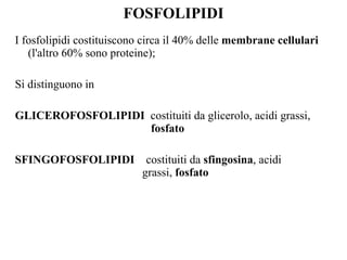 FOSFOLIPIDI I fosfolipidi costituiscono circa il 40% delle  membrane cellulari  (l'altro 60% sono proteine);  Si distinguono in  GLICEROFOSFOLIPIDI   costituiti da glicerolo, acidi grassi,    fosfato SFINGOFOSFOLIPIDI   costituiti da  sfingosina , acidi    grassi,  fosfato 