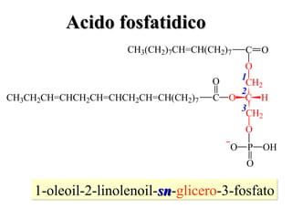1-oleoil-2-linolenoil- sn - glicero -3-fosfato 1 2 3 Acido fosfatidico 