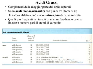 Acidi Grassi Componenti della maggior parte dei lipidi naturali Sono  acidi monocarbossilici  con più di tre atomi di C;   la catena alifatica può essere  satura, insatura , ramificata Quelli più frequenti nei tessuti di mammifero hanno catena lineare e numero pari di atomi di carbonio 
