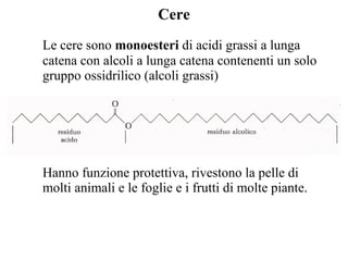 Cere Le cere sono  monoesteri  di acidi grassi a lunga catena con alcoli a lunga catena contenenti un solo gruppo ossidrilico (alcoli grassi)   Hanno funzione protettiva, rivestono la pelle di molti animali e le foglie e i frutti di molte piante.  