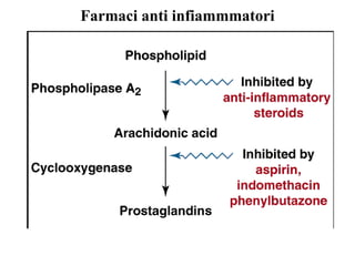 Farmaci anti infiammmatori 