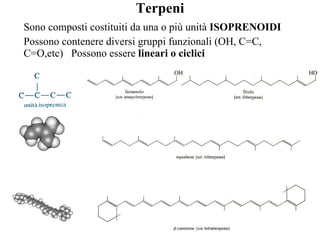 Terpeni Sono composti costituiti da una o più unità  ISOPRENOIDI Possono contenere diversi gruppi funzionali (OH, C=C, C=O,etc)  Possono essere  lineari o ciclici 
