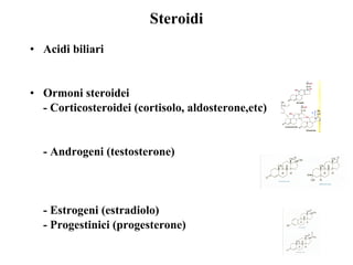 Steroidi Acidi biliari Ormoni steroidei - Corticosteroidei (cortisolo, aldosterone,etc) - Androgeni (testosterone) - Estrogeni (estradiolo) - Progestinici (progesterone) 