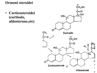 Ormoni steroidei Corticosteroidei (cortisolo, aldosterone,etc) 