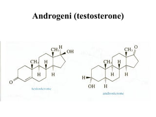 Androgeni (testosterone) 