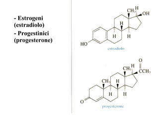 - Estrogeni (estradiolo) - Progestinici (progesterone) 