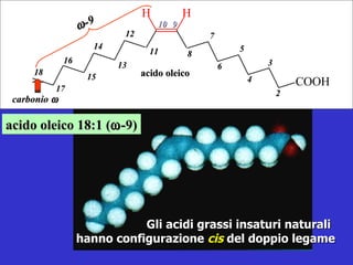 acido oleico 18:1 (  -9) Gli acidi grassi insaturi naturali hanno configurazione  cis   del doppio legame acido oleico  -9 2 4 6 8 3 5 7 9 10 11 13 15 17 12 14 16 18 carbonio   