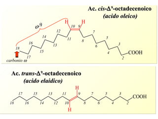  -9 2 4 6 8 3 5 7 9 10 11 13 15 17 12 14 16 18 carbonio   Ac.  cis -  9 -octadecenoico (acido oleico) 18  16  14  12  10  8  6  4  2  17  15  13  11  9  7  5  3  Ac.  trans -  9 -octadecenoico (acido elaidico) 