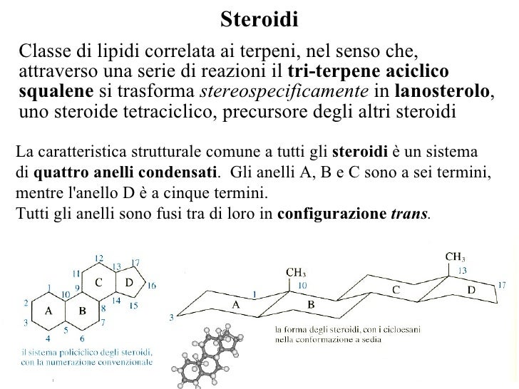 Ne Fanno Parte Steroidi E Terpeni