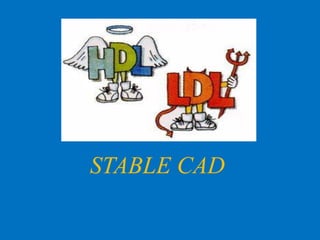 STABLE CAD

 