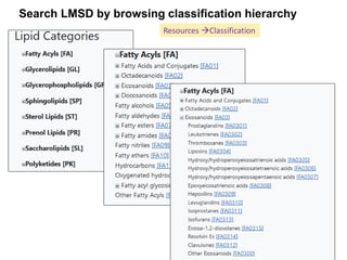 Search LMSD by browsing classification hierarchy
Resources Classification
 