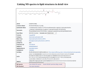 Linking MS spectra to lipid structures in detail view
 