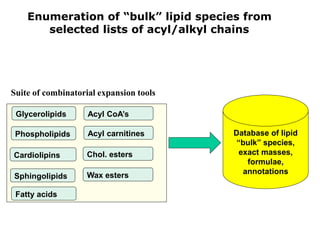 Enumeration of “bulk” lipid species from
selected lists of acyl/alkyl chains
Glycerolipids
Phospholipids
Sphingolipids
Fat...
