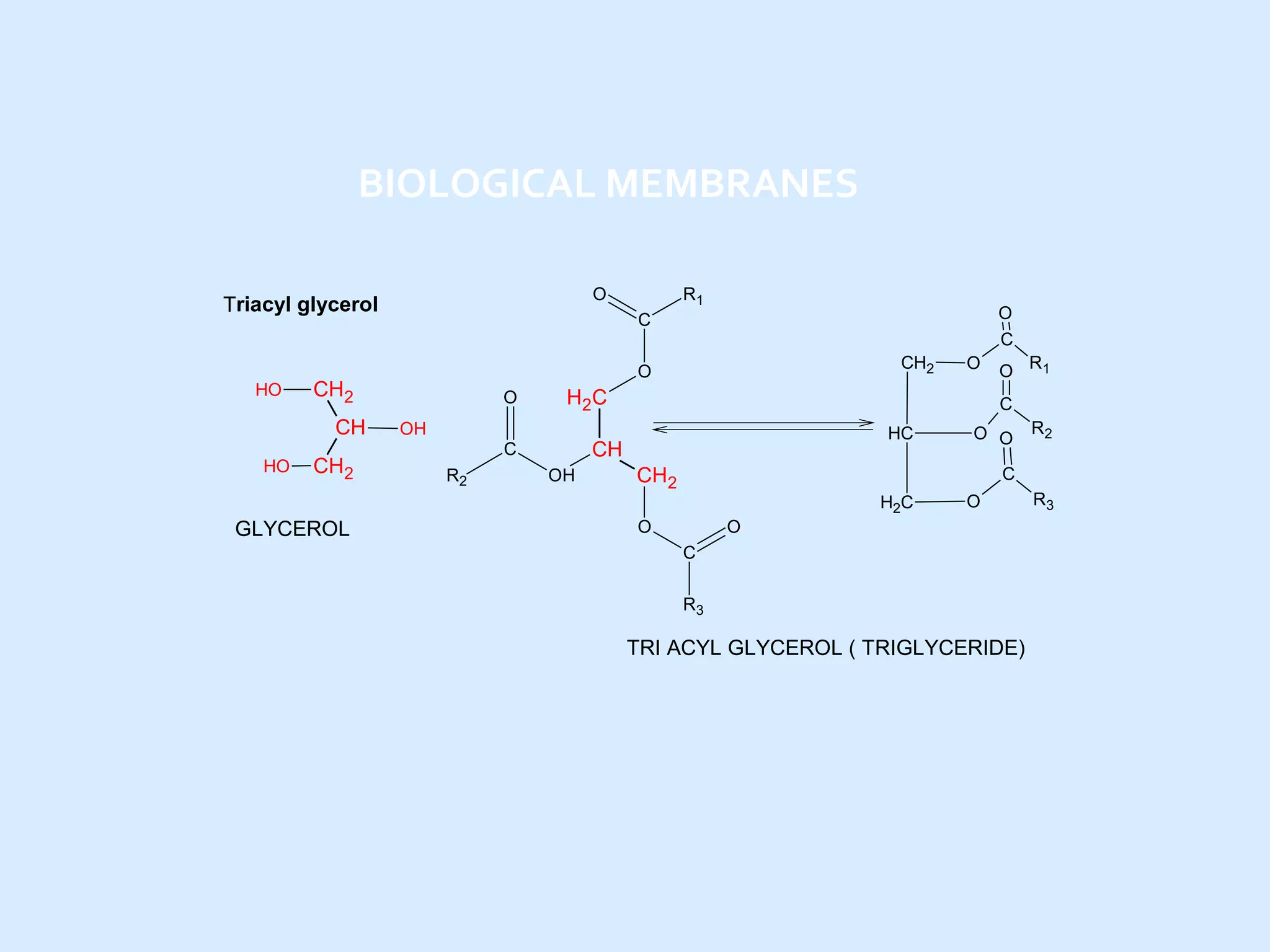 BIOLOGICAL MEMBRANES
O

Triacyl glycerol

HO

HO

CH2

O
C

C
CH2

O

CH2
CH

R1

O

H2 C

OH
OH

HC

CH2

O O

R2

C
H2C

GLYCEROL

O R1
C

CH

C
R2

O

O

O

O
C
R3

TRI ACYL GLYCEROL ( TRIGLYCERIDE)

R3

 