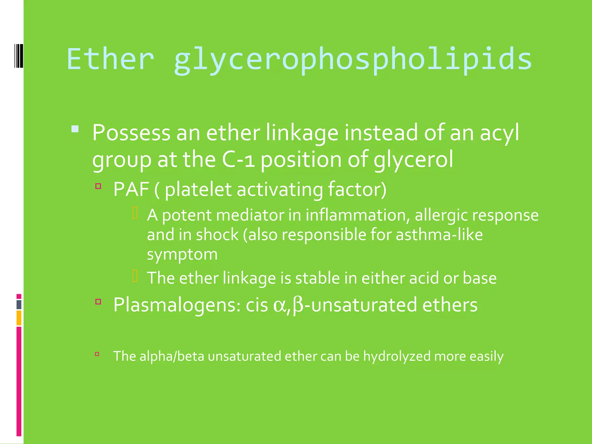 Ether glycerophospholipids
 Possess an ether linkage instead of an acyl

group at the C-1 position of glycerol
 PAF ( platelet activating factor)

 A potent mediator in inflammation, allergic response
and in shock (also responsible for asthma-like
symptom
 The ether linkage is stable in either acid or base

 Plasmalogens: cis α,β-unsaturated ethers


The alpha/beta unsaturated ether can be hydrolyzed more easily

 