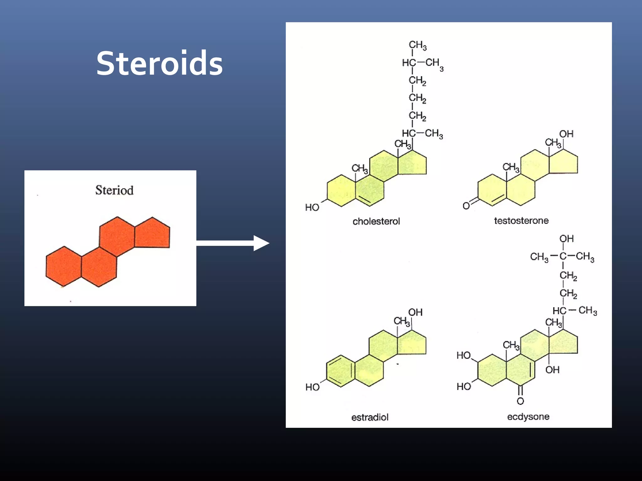Steroids

 