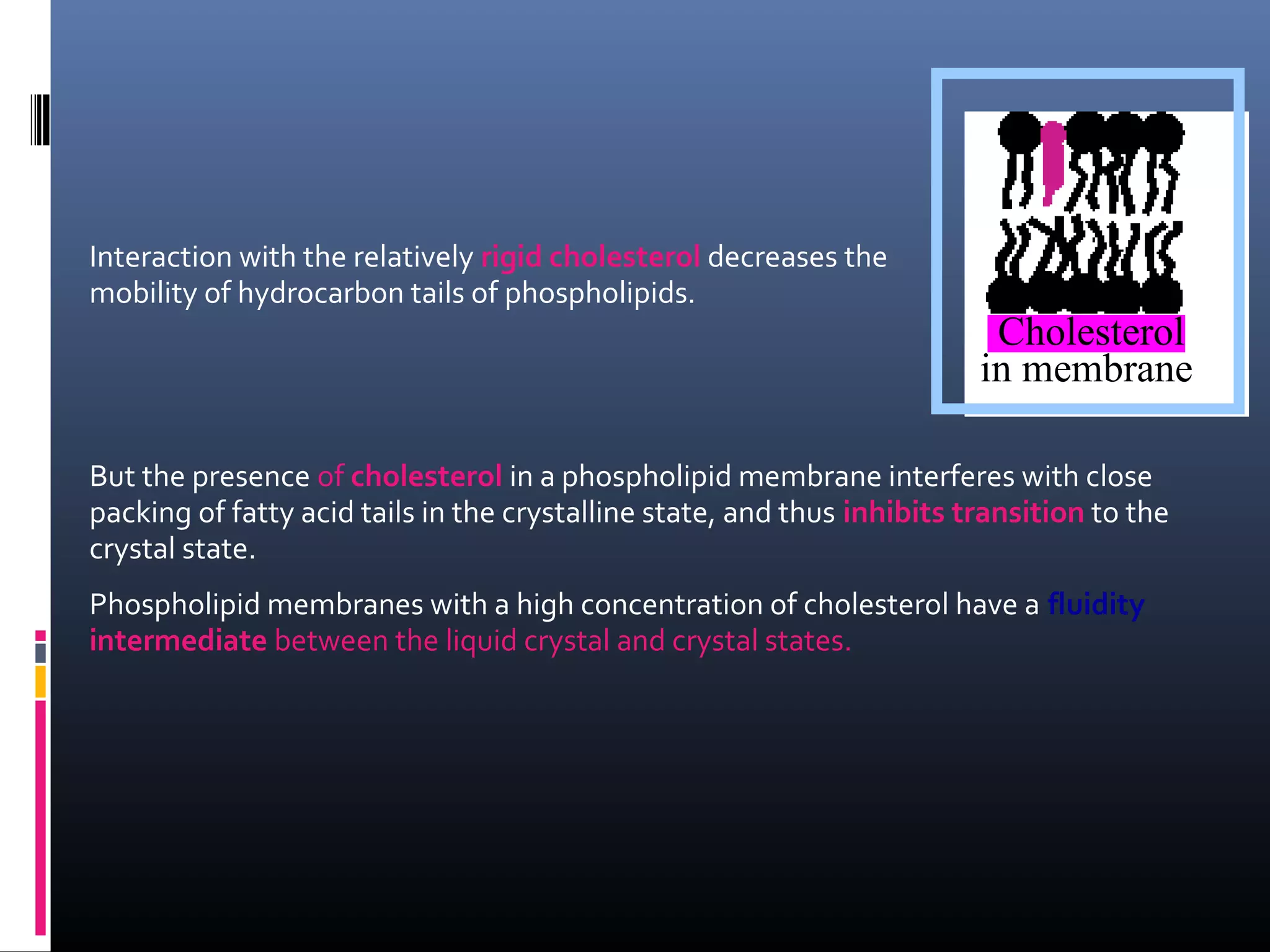Interaction with the relatively rigid cholesterol decreases the
mobility of hydrocarbon tails of phospholipids.

Cholesterol
in membrane

But the presence of cholesterol in a phospholipid membrane interferes with close
packing of fatty acid tails in the crystalline state, and thus inhibits transition to the
crystal state.
Phospholipid membranes with a high concentration of cholesterol have a fluidity
intermediate between the liquid crystal and crystal states.

 