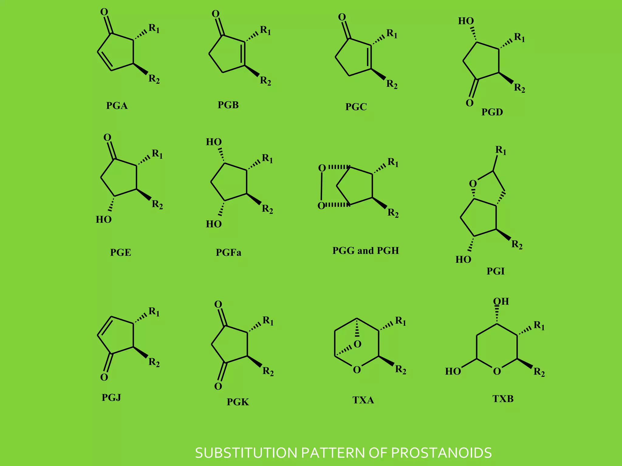 O

O

O

HO

R1

R1

R1

R1

R2

R2

R2

R2

PGB

PGA
O
R1

O

PGC

PGD

HO
R1

R1

R1

O

O
R2
HO

R2

O

R2

HO

PGE

PGG and PGH

PGFa

R2
HO
PGI

R1

OH

O
R1

R1

R1

O
R2
O
PGJ

R2

O

R2

HO

O

O
PGK

TXA

TXB

SUBSTITUTION PATTERN OF PROSTANOIDS

R2

 