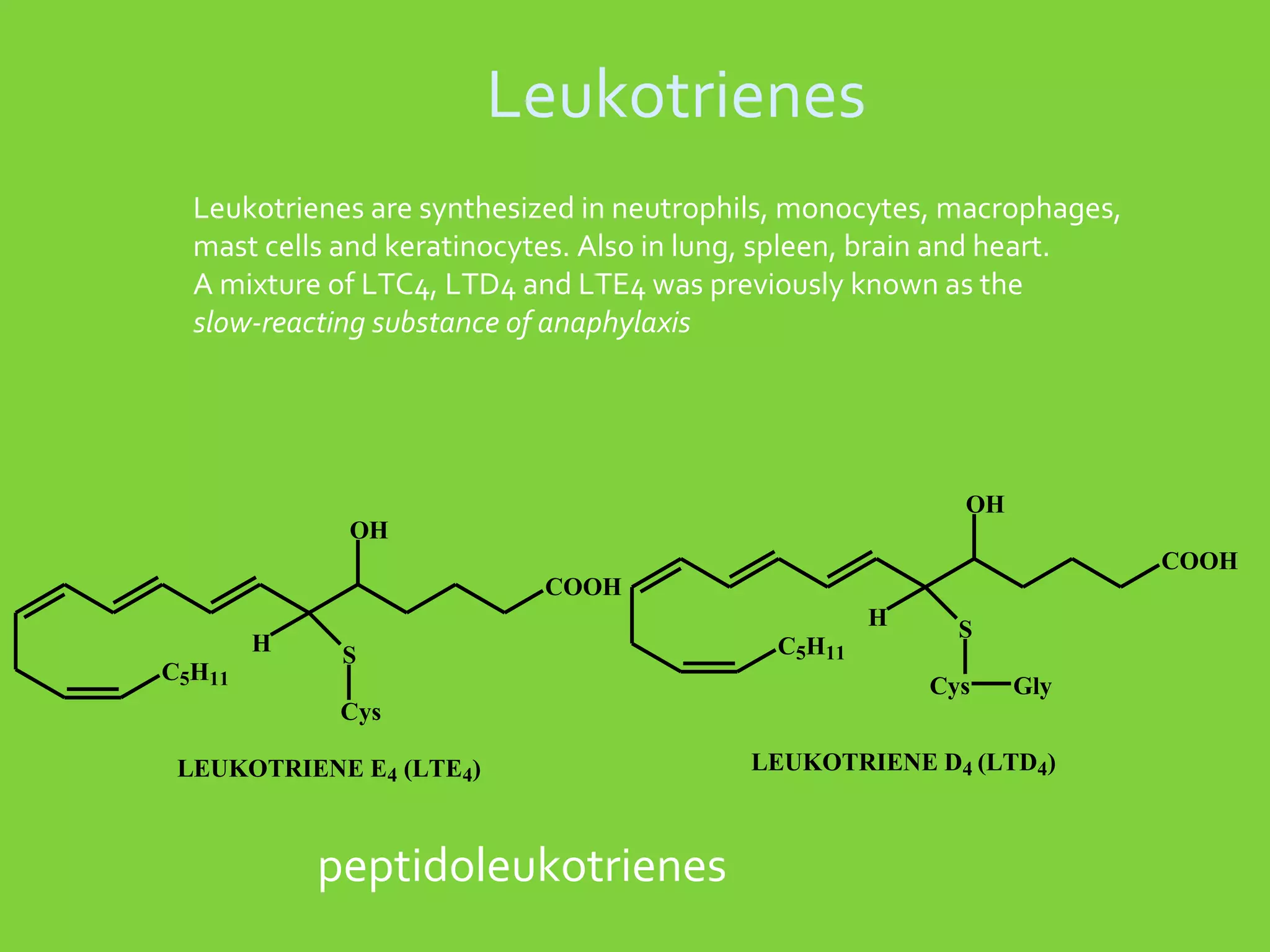 Leukotrienes
Leukotrienes are synthesized in neutrophils, monocytes, macrophages,
mast cells and keratinocytes. Also in lung, spleen, brain and heart.
A mixture of LTC4, LTD4 and LTE4 was previously known as the
slow-reacting substance of anaphylaxis

OH

OH

COOH

COOH
H
C5H11

H
S
Cys

LEUKOTRIENE E4 (LTE4)

peptidoleukotrienes

C5H11

S
Cys

Gly

LEUKOTRIENE D4 (LTD4)

 
