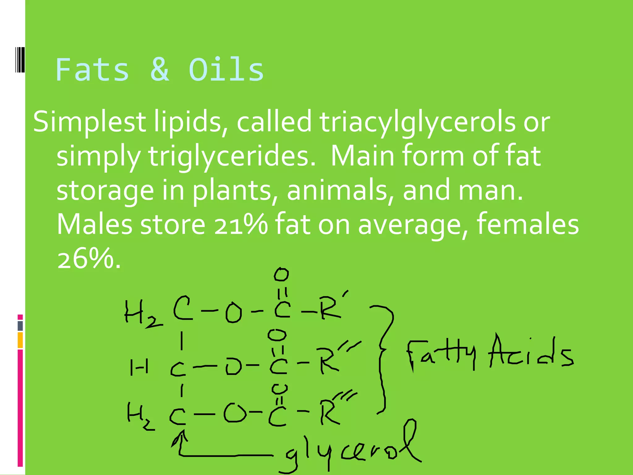 Fats & Oils
Simplest lipids, called triacylglycerols or
simply triglycerides. Main form of fat
storage in plants, animals, and man.
Males store 21% fat on average, females
26%.

 