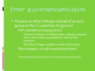 Ether glycerophospholipids
 Possess an ether linkage instead of an acyl

group at the C-1 position of glycerol
 PAF ( platelet activating factor)

 A potent mediator in inflammation, allergic response
and in shock (also responsible for asthma-like
symptom
 The ether linkage is stable in either acid or base

 Plasmalogens: cis α,β-unsaturated ethers


The alpha/beta unsaturated ether can be hydrolyzed more easily

 