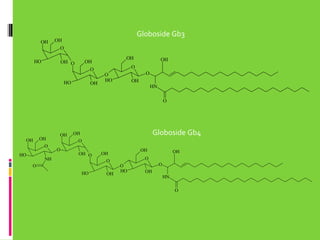 OH

Globoside Gb3

OH
O

HO

OH

OH

OH O

O
HO

OH

OH

O
O

O
HO

OH
HN
O

OH

OH
O

HO

NH

OH

Globoside Gb4

OH
O

O

OH O

O

O
HO

OH

OH

OH

OH

O
O
HO

O
OH
HN
O

 