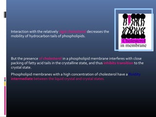 Interaction with the relatively rigid cholesterol decreases the
mobility of hydrocarbon tails of phospholipids.

Cholesterol
in membrane

But the presence of cholesterol in a phospholipid membrane interferes with close
packing of fatty acid tails in the crystalline state, and thus inhibits transition to the
crystal state.
Phospholipid membranes with a high concentration of cholesterol have a fluidity
intermediate between the liquid crystal and crystal states.

 