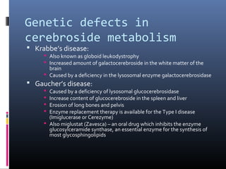 Genetic defects in
cerebroside metabolism
 Krabbe’s disease:

 Also known as globoid leukodystrophy
 Increased amount of galactocerebroside in the white matter of the
brain
 Caused by a deficiency in the lysosomal enzyme galactocerebrosidase

 Gaucher’s disease:

Caused by a deficiency of lysosomal glucocerebrosidase
Increase content of glucocerebroside in the spleen and liver
Erosion of long bones and pelvis
Enzyme replacement therapy is available for the Type I disease
(Imiglucerase or Cerezyme)
 Also miglustat (Zavesca) – an oral drug which inhibits the enzyme
glucosylceramide synthase, an essential enzyme for the synthesis of
most glycosphingolipids





 