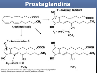 Prostaglandins

 
