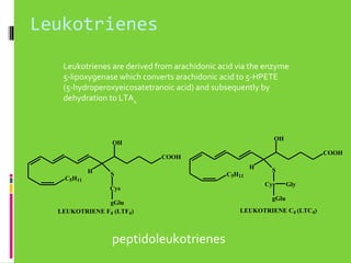 Leukotrienes
Leukotrienes are derived from arachidonic acid via the enzyme
5-lipoxygenase which converts arachidonic acid to 5-HPETE
(5-hydroperoxyeicosatetranoic acid) and subsequently by
dehydration to LTA4

OH

OH

COOH

COOH
H
C5H11

H
S
Cys

gGlu
LEUKOTRIENE F4 (LTF4)

peptidoleukotrienes

C5H11

S
Cys

Gly

gGlu
LEUKOTRIENE C4 (LTC4)

 
