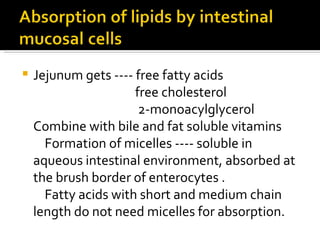 Jejunum gets ---- free fatty acids free cholesterol 2-monoacylglycerol Combine with bile and fat soluble vitamins  Formation of micelles ---- soluble in aqueous intestinal environment, absorbed at  the brush border of enterocytes . Fatty acids with short and medium chain length do not need micelles for absorption. 