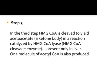 Step 3 In the third step HMG CoA is cleaved to yield acetoacetate (a ketone body) in a reaction catalyzed by HMG CoA lyase (HMG CoA cleavage enzyme)… present only in liver.  One molecule of acetyl CoA is also produced.  