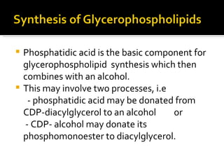 Phosphatidic acid is the basic component for glycerophospholipid  synthesis which then combines with an alcohol. This may involve two processes, i.e  - phosphatidic acid may be donated from CDP-diacylglycerol to an alcohol  or - CDP- alcohol may donate its phosphomonoester to diacylglycerol. 