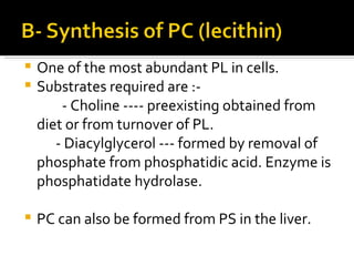 One of the most abundant PL in cells. Substrates required are :- - Choline ---- preexisting obtained from diet or from turnover of PL. - Diacylglycerol --- formed by removal of phosphate from phosphatidic acid. Enzyme is phosphatidate hydrolase. PC can also be formed from PS in the liver.  