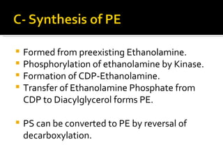 Formed from preexisting Ethanolamine. Phosphorylation of ethanolamine by Kinase. Formation of CDP-Ethanolamine. Transfer of Ethanolamine Phosphate from CDP to Diacylglycerol forms PE. PS can be converted to PE by reversal of decarboxylation. 