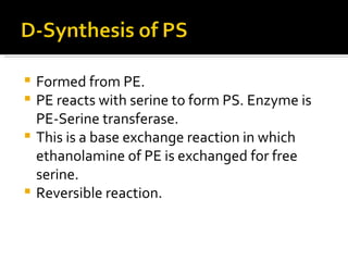 Formed from PE. PE reacts with serine to form PS. Enzyme is PE-Serine transferase. This is a base exchange reaction in which ethanolamine of PE is exchanged for free serine. Reversible reaction. 