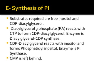 Substrates required are free inositol and CDP-diacylglycerol. Diacylglycerol 3 phosphate (PA) reacts with CTP to form CDP-diacylglycerol. Enzyme is Diacylglycerol-CDP synthase. CDP-Diacylglycerol reacts with inositol and forms Phosphatidyl inositol. Enzyme is PI Synthase. CMP is left behind. 
