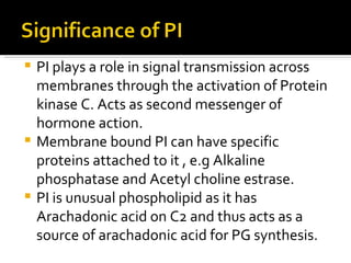 PI plays a role in signal transmission across membranes through the activation of Protein kinase C. Acts as second messenger of hormone action.  Membrane bound PI can have specific proteins attached to it , e.g Alkaline phosphatase and Acetyl choline estrase. PI is unusual phospholipid as it has Arachadonic acid on C2 and thus acts as a source of arachadonic acid for PG synthesis. 