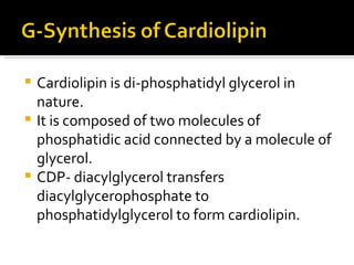 Cardiolipin is di-phosphatidyl glycerol in nature. It is composed of two molecules of phosphatidic acid connected by a molecule of glycerol. CDP- diacylglycerol transfers diacylglycerophosphate to phosphatidylglycerol to form cardiolipin. 