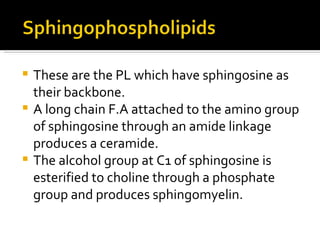 These are the PL which have sphingosine as their backbone. A long chain F.A attached to the amino group of sphingosine through an amide linkage produces a ceramide. The alcohol group at C1 of sphingosine is esterified to choline through a phosphate group and produces sphingomyelin. 