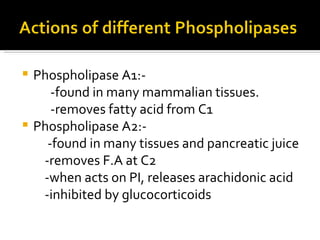 Phospholipase A1:- -found in many mammalian tissues. -removes fatty acid from C1 Phospholipase A2:- -found in many tissues and pancreatic juice  -removes F.A at C2 -when acts on PI, releases arachidonic acid -inhibited by glucocorticoids 