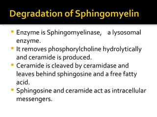 Enzyme is Sphingomyelinase,  a lysosomal enzyme. It removes phosphorylcholine hydrolytically and ceramide is produced. Ceramide is cleaved by ceramidase and leaves behind sphingosine and a free fatty acid. Sphingosine and ceramide act as intracellular messengers. 
