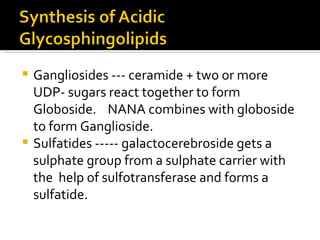 Gangliosides --- ceramide + two or more UDP- sugars react together to form Globoside.  NANA combines with globoside to form Ganglioside. Sulfatides ----- galactocerebroside gets a sulphate group from a sulphate carrier with the  help of sulfotransferase and forms a sulfatide. 