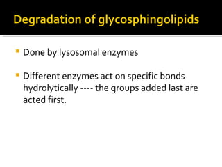 Done by lysosomal enzymes Different enzymes act on specific bonds hydrolytically ---- the groups added last are acted first. 