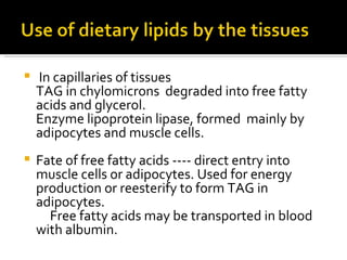 In capillaries of tissues  TAG in chylomicrons  degraded into free fatty acids and glycerol.  Enzyme lipoprotein lipase, formed  mainly by  adipocytes and muscle cells. Fate of free fatty acids ---- direct entry into muscle cells or adipocytes. Used for energy production or reesterify to form TAG in adipocytes. Free fatty acids may be transported in blood with albumin. 