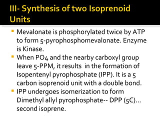 Mevalonate is phosphorylated twice by ATP to form 5-pyrophosphomevalonate. Enzyme is Kinase. When PO4 and the nearby carboxyl group leave 5-PPM, it results  in the formation of Isopentenyl pyrophosphate (IPP). It is a 5 carbon isoprenoid unit with a double bond. IPP undergoes isomerization to form Dimethyl allyl pyrophosphate-- DPP (5C)… second isoprene. 
